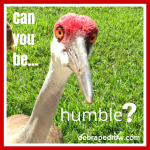 Are you talking to me?