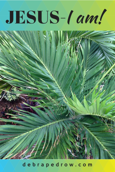 Jesus - I am!