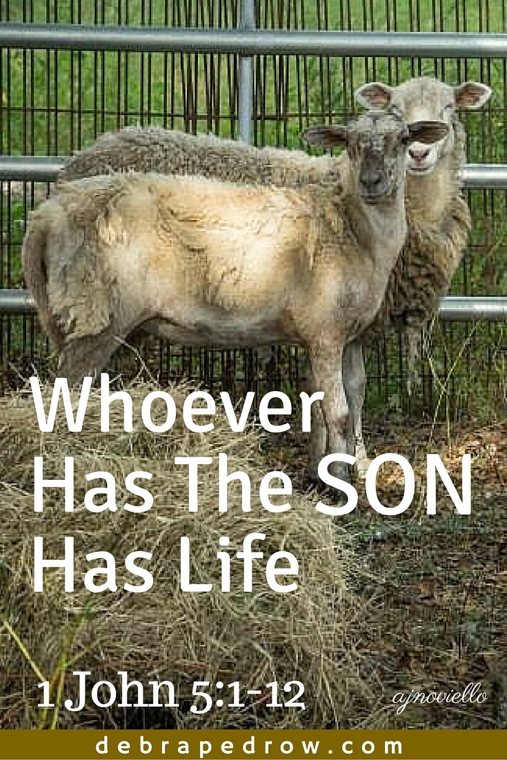 Whoever has the Son has life