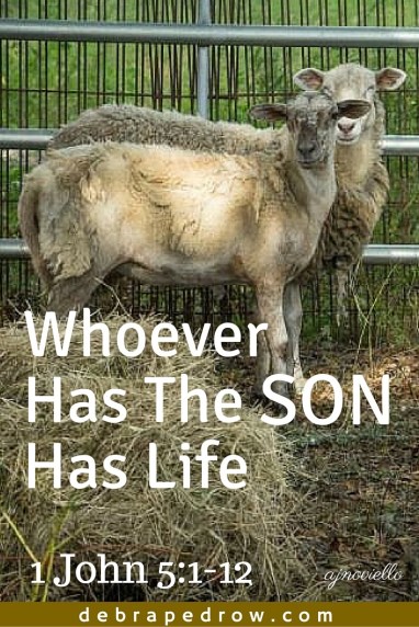 Whoever has the Son has life