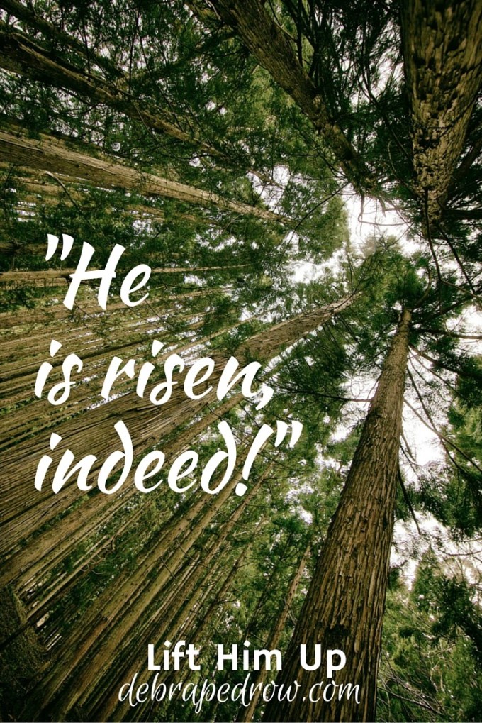 He is risen, indeed!