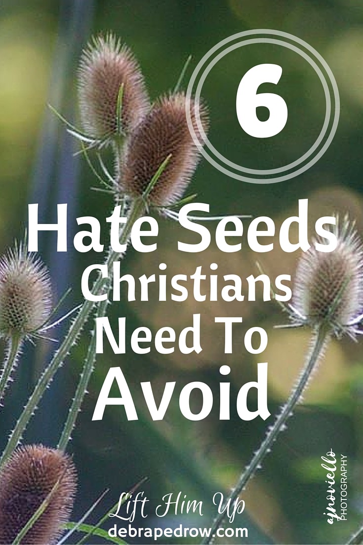 6 hate seeds Christians need to avoid