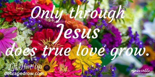 Only through Jesus does true love grow.